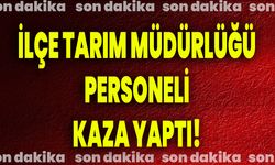 İlçe Tarım Müdürlüğü Personeli Kaza Yaptı