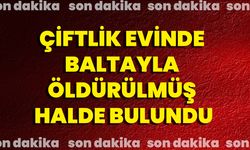 Çiftlik Evinde Baltayla Öldürülmüş Halde Bulundu