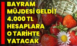Çilekle Gelen Mucize! Eğer Böyle Kullanırsanız Ne Leke Ne Akne Kalıyor
