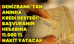 DenizBank’tan Anında Kredi Desteği! Başvuranın Hesabına 11.000 TL Nakit Yatacak