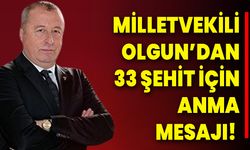 Milletvekili Olgun’dan 33 Şehit İçin Anma Mesajı!