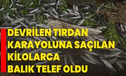 Devrilen tırdan karayoluna saçılan kilolarca balık telef oldu