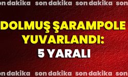Dolmuş Şarampole Yuvarlandı: 5 Yaralı