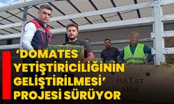 ‘Domates Yetiştiriciliğinin Geliştirilmesi’ projesi sürüyor