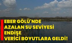 Eber Gölü'nde azalan su seviyesi endişe verici boyutlara geldi