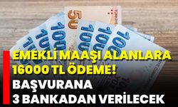 Emekli Maaşı Alanlara 16000 TL Ödeme! Başvurana 3 Bankadan Verilecek