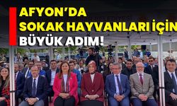 Afyon’da Sokak Hayvanları İçin Büyük Adım!