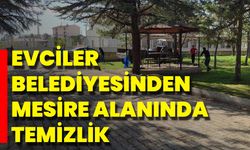Evciler Belediyesinden Mesire Alanında Temizlik