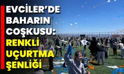Evciler’de Baharın Coşkusu: Renkli Uçurtma Şenliği
