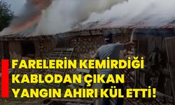 Farelerin kemirdiği kablodan çıkan yangın ahırı kül etti!