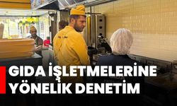 Gıda işletmelerine yönelik denetim