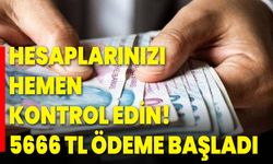 Hesaplarınızı hemen kontrol edin! 5666 TL ödeme başladı