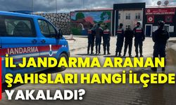 İl Jandarma aranan şahsı hangi ilçede yakaladı?