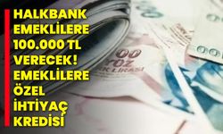 Halkbank emeklilere 100.000 TL verecek! Emeklilere özel ihtiyaç kredisi