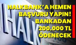 Halkbank’a Hemen Başvuru Yapın! Bankadan 200.000 TL Ödenecek