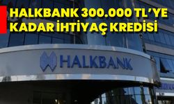 Halkbank 300.000 TL’ye Kadar İhtiyaç Kredisi