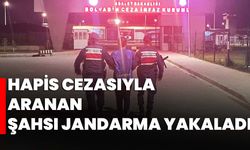 Hapis cezasıyla aranan şahsı jandarma yakaladı