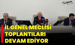 İl Genel Meclisi toplantıları devam ediyor