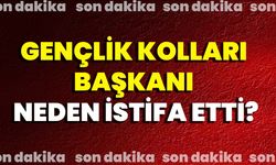 Gençlik Kolları Başkanı Neden İstifa Etti?