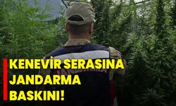 Kenevir Serasına Jandarma Baskını!