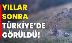 Yıllar Sonra Türkiye’de Görüldü!