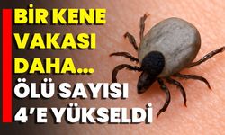 Bir Kene Vakası Daha… Ölü Sayısı 4’e Yükseldi