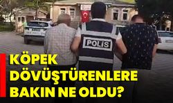 Köpek Dövüştürenlere Bakın Ne Oldu?