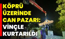 Köprü Üzerinde Can Pazarı: Vinçle Kurtarıldı