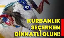 Kurbanlık Seçerken Dikkatli Olun!
