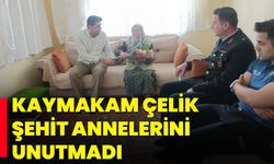 Kaymakam Çelik, Şehit Annelerini Unutmadı