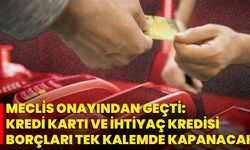 Meclis Onayından Geçti: Kredi Kartı ve İhtiyaç Kredisi Borçları Tek Kalemde Kapanacak