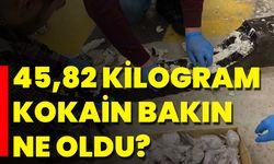 45,82 Kilogram Kokain Bakın Ne Oldu?