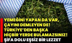 Yemeğini Yapan Da Var, Çayını Demleyen De! Türkiye’den Başka Hiçbir Yerde Bulamazsınız! Şifa Dolu Eşsiz Bir Lezzet