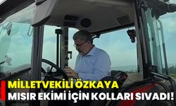 Milletvekili Özkaya Mısır Ekimi İçin Kolları Sıvadı!