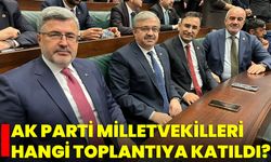 AK Parti Milletvekilleri Hangi Toplantıya Katıldı?