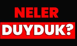 NELER DUYDUK?