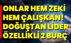 Onlar Hem Zeki Hem Çalışkan! Doğuştan Lider Özellikli 2 Burç