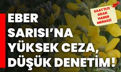 Eber Sarısı’na yüksek ceza, düşük denetim!
