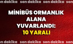 Minibüs Ormanlık Alana Yuvarlandı: 10 Yaralı
