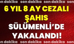 6 Yıl 8 Ay Cezalı Şahıs Sülümenli’de Yakalandı!