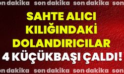 Sahte Alıcı Kılığındaki Dolandırıcılar, 4 Küçükbaşı Çaldı!