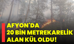 Afyon'da 20 Bin Metrekarelik Alan Kül Oldu!