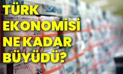 Türk ekonomisi ne kadar büyüdü?