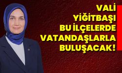 Vali Yiğitbaşı Bu İlçelerde Vatandaşlarla Buluşacak!