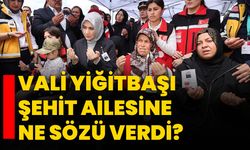 Vali Yiğitbaşı şehit ailesine ne sözü verdi?