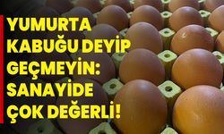 Yumurta Kabuğu Deyip Geçmeyin Sanayide Çok Değerli!