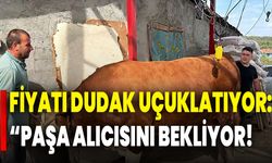Fiyatı Dudak Uçuklatıyor: Paşa Alıcısını Bekliyor!