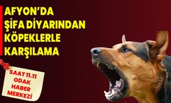 AFYON’DA ŞİFA DİYARINDAN KÖPEKLERLE KARŞILAMA