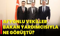 Afyonlu Vekiller Bakan Yardımcısıyla Ne Görüştü?