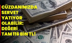 Cüzdanınızda Servet Yatıyor Olabilir: Değeri tam 116 bin TL!